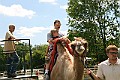 IMG_8123