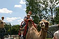 IMG_8124