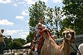 IMG_8125
