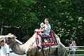 IMG_8129