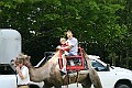IMG_8131
