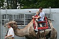 IMG_8132