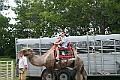 IMG_8135
