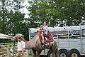 IMG_8137