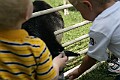 IMG_8152