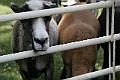IMG_8154