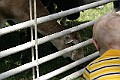 IMG_8156