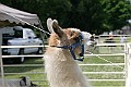 IMG_8157