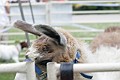 IMG_8167