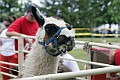 IMG_8168