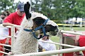 IMG_8169