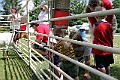 IMG_8174