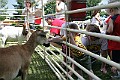 IMG_8175