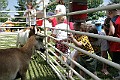 IMG_8176