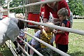 IMG_8178