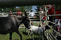 IMG_8181