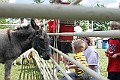 IMG_8182