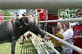 IMG_8183