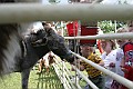 IMG_8184