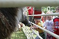 IMG_8185
