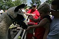 IMG_8186