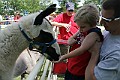IMG_8190