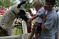 IMG_8192