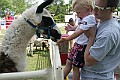 IMG_8193