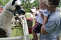 IMG_8194