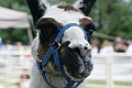 IMG_8197