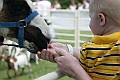 IMG_8199
