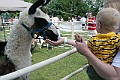 IMG_8200