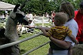 IMG_8201