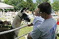 IMG_8203