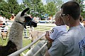 IMG_8204