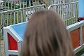 IMG_8264