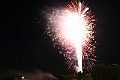 IMG_5154