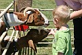 IMG_5177