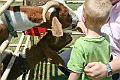 IMG_5178