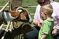 IMG_5179