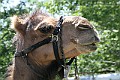 IMG_5183