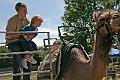 IMG_5187