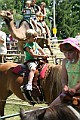 IMG_5273