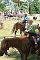 IMG_5277