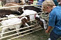 IMG_5291