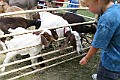 IMG_5293
