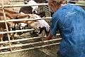 IMG_5294