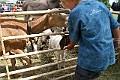 IMG_5297