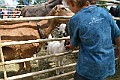 IMG_5298