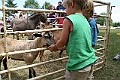 IMG_5303